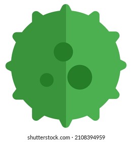 Contaminate virus with fine spikes around the ring and a bacterial host