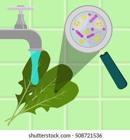 Contaminated arugula being cleaned and washed in a kitchen. Microorganisms, virus and bacteria in the vegetable enlarged by a magnifying glass. Running tap water.
