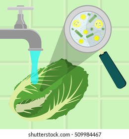 Contaminated cabbage being cleaned and washed in a kitchen. Microorganisms, virus and bacteria in the vegetable enlarged by a magnifying glass. Running tap water.