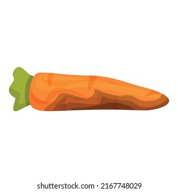 Contaminated carrot icon cartoon vector. Vegetables bacteria. Food virus