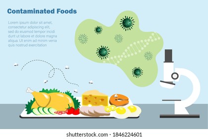 Contaminated Foods, Food Poisoning ,food Safety And Biotechnology Research Concept. Microcsope Display Becteria And Virus From Unclean Food Testing On Table With Flies Around.