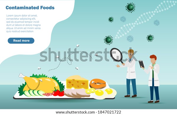汚染食品 食中毒 食品安全 バイオテクノロジーの研究コンセプト 科学者の使用 虫眼鏡は ハエを回して汚れた食べ物の検査でベクテリアとウイルスを検査します のベクター画像素材 ロイヤリティフリー