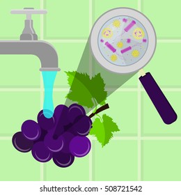 Contaminated grape being cleaned and washed in a kitchen. Microorganisms, virus and bacteria in the vegetable enlarged by a magnifying glass. Running tap water.