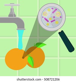 Contaminated oranges being cleaned and washed in a kitchen. Microorganisms, virus and bacteria in the vegetable enlarged by a magnifying glass. Running tap water.