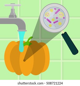 Contaminated pumpkin being cleaned and washed in a kitchen. Microorganisms, virus and bacteria in the vegetable enlarged by a magnifying glass. Running tap water.
