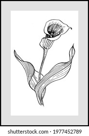 Contemporary art floral posters in trendy colors. Abstract hand drawing flowers and geometric elements and strokes, leaves and flower. 