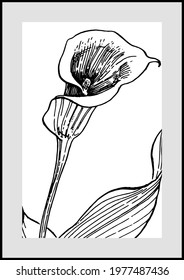 Contemporary art floral posters in trendy colors. Abstract hand drawing flowers and geometric elements and strokes, leaves and flower. 