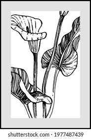 Contemporary art floral posters in trendy colors. Abstract hand drawing flowers and geometric elements and strokes, leaves and flower. 