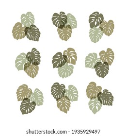 Contemporary art, modern print, floral wall art, boho decor poster. Monstera deliciosa leaves hand drawn vector illustration set. Tropical leaf plant isolated on white background. Scandinavian style