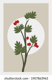 Contemporary art poster in pastel colors with hawthorn branch. Herbal, plants elements and strokes, leaves and berries. Design for social media, postcards, print, cover. Wall decoration. Art  decor.