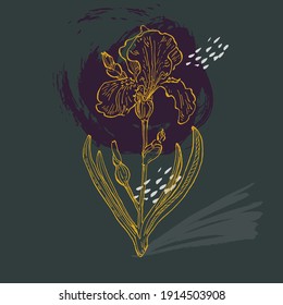 contemporary art posters irises flower. Design for social media, postcards, print.