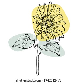 Contemporary art sunflower floral posters in trendy colors. Abstract hand drawing flowers and geometric elements and strokes, leaves and flower. 