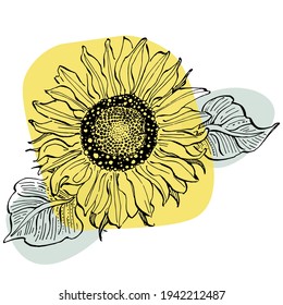 Contemporary art sunflower floral posters in trendy colors. Abstract hand drawing flowers and geometric elements and strokes, leaves and flower. 
