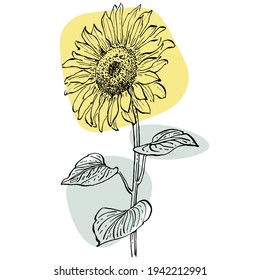 Contemporary art sunflower floral posters in trendy colors. Abstract hand drawing flowers and geometric elements and strokes, leaves and flower. 