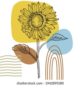Contemporary art sunflowers posters in trendy colors. Abstract hand drawing flowers and geometric elements and strokes, leaves and flower. 