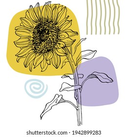 Contemporary art sunflowers posters in trendy colors. Abstract hand drawing flowers and geometric elements and strokes, leaves and flower. 