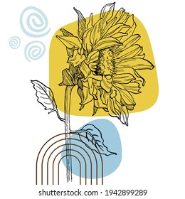 Contemporary art sunflowers posters in trendy colors. Abstract hand drawing flowers and geometric elements and strokes, leaves and flower. 