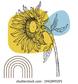 Contemporary art sunflowers posters in trendy colors. Abstract hand drawing flowers and geometric elements and strokes, leaves and flower. 