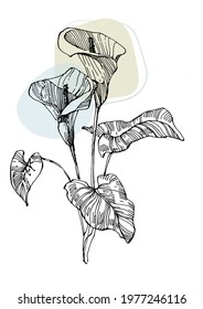 Contemporary art tropical floral posters in trendy colors. Abstract hand drawing flowers and geometric elements and strokes, leaves and flower. 