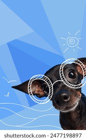 Contemporary artwork. Vector illustration. Little Chihuahua in drawn sunglasses looks at camera curiously. Vibrant color scheme. Concept of pets, holidays, positive emotions, rest, summer vacation.