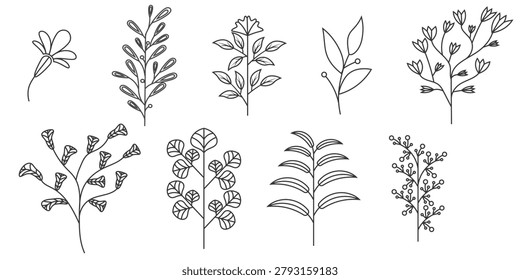 Contemporary botanical drawings emphasizing delicate linework and organic plant structures. Their clean aesthetic makes them ideal for modern branding, product labels, editorial pages, websites, and lifestyle-oriented design
