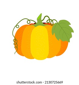 Contemporary icon design. Pumpking element for using on postcards, wallpaper, banners. Natural harvest vegetarian food.