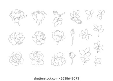 Contemporary rose line art set with grid variations. Use individually for stickers, labels, or combine into seamless designs. Monoline vector graphics.