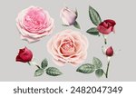 Contemporary scrapbooking elements. Trendy colored halftone collage of roses. Dotted magazine clippings. Vintage herbarium.	