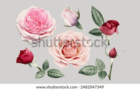 Contemporary scrapbooking elements. Trendy colored halftone collage of roses. Dotted magazine clippings. Vintage herbarium.	