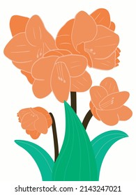 Contemporary wall art with cute flowers. Trendy floral interior poster. Modern botanical artworks, cards. Colored flat graphic vector illustrations