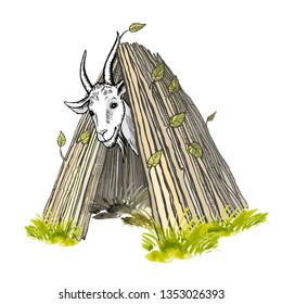 A contented white goat with horns and a beard, looking out of the hut. Colored hand-painted vector drawing.