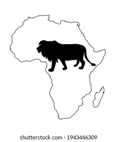Continent Africa map contour silhouette with lion vector silhouette illustration isolated on white background. Animal king. Big cat. Pride of Africa. Leo zodiac symbol. Wildlife predator. 