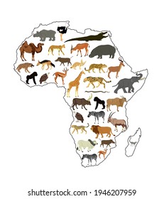 Continent map of Africa vector contour silhouette with wild animals. Travel invitation card for Africa nature. Savannah safari trip tourist attraction with giraffe, lion, elephant, rhino, hippo, zebra