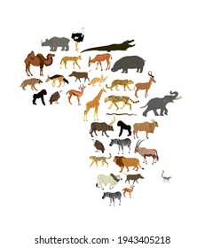 Continent map of Africa vector illustration with wild animals. Travel invitation card for Africa nature. Savannah safari trip tourist attraction with giraffe, lion, elephant, rhino, hippo, zebra.