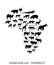 Continent map of Africa vector silhouette with wild animals. Travel invitation card for Africa nature. Savannah safari trip tourist attraction with giraffe, lion, elephant, rhino, hippo, zebra, hyena.