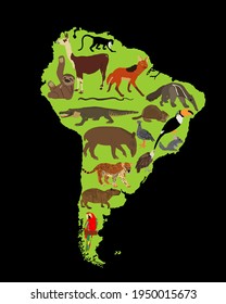 Mapa continental ilustrativo del vector sudamericano con animales salvajes. Destino de viaje para turistas. Jaguar, chinchilla, cayman, capibara, lama, anteater, loro de macaw.