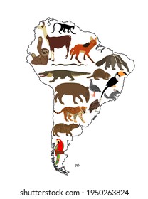 Continent map Southern America vector contour illustration with wild animals. Travel destination for tourist. Wildlife exotic attraction jaguar, chinchilla, cayman, capybara, lama, anteater, sloth