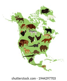 Continent Northern America vector map silhouette illustration with wild animals, isolated on white background. United states of America, Canada, Mexico, Cuba,  Bahamas, Caribbean sea territory.