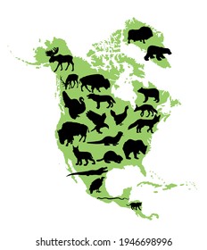 Continent Northern America vector map silhouette illustration with wild animals, isolated on white background. United states of America, Canada, Mexico, Cuba,  Bahamas, Caribbean sea territory.