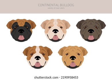 Continental Bulldog Clip Art. Unterschiedliche Posen, Farben für die Fellfarbe.  Vektorgrafik