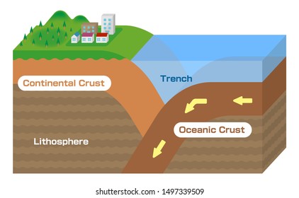 Continental crust and Oceanic crust. 3 dimensions view vector illustration. 