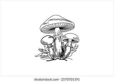 continious online drawing mushrooms single line art illustration