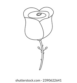 Continous Beautiful rose flowers single line drawing vector art