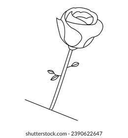Continous Beautiful rose flowers single line drawing vector art