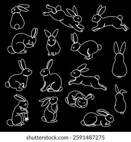 Continous line art drawing Rabbits collection. Vector illustration of cute line art bunny in different poses and actions.