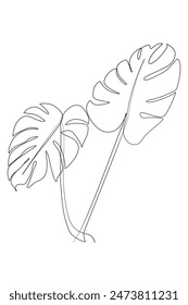 Continue one line monstera leaves. Vector Illustration.