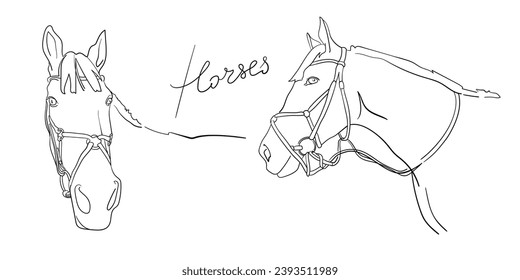 Continuos line of the horse's head profile on white background. Animals line art drawing. Vector illustration
