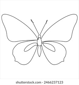 Continuous butterfly single  line drawing vector illustration