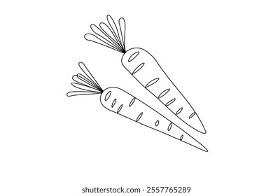 Continuous carrot one line drawing of Isolated single line art vector on white background 