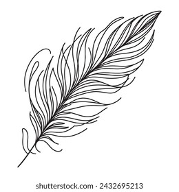 Continuous drawing of a bird feather on a white background. vector illustration of a feather in one line